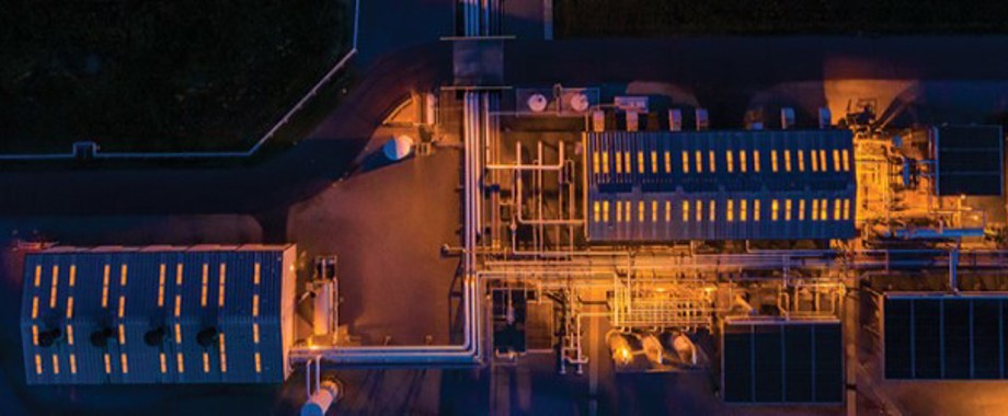 nemec_williams_transco-pine-needle newsletter.jpg