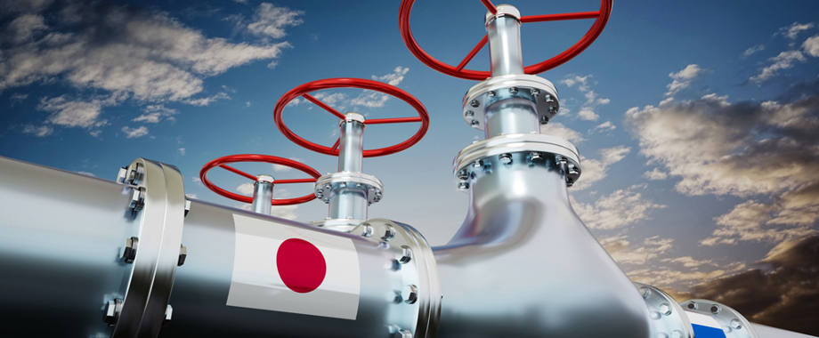 Analysis: Japan Eyes Exit from Russian Gas Amid Sakhalin Decline ...