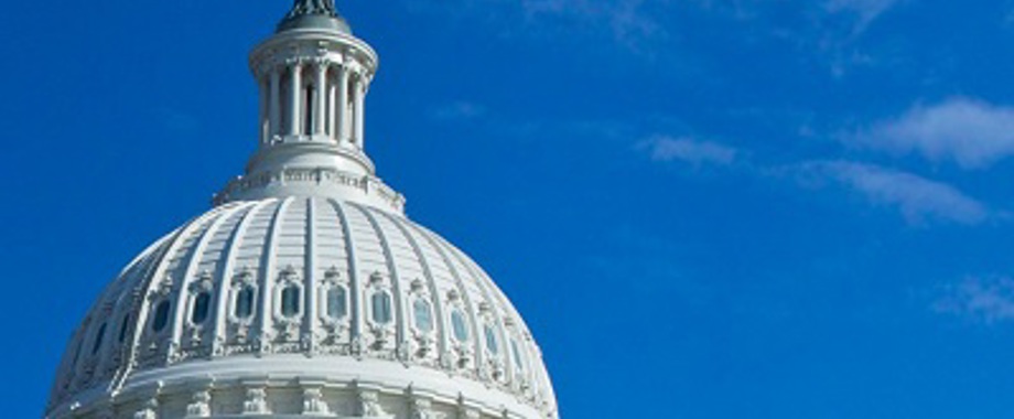 capitol crop_400.jpg