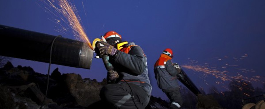 shutterstock_336253667 - Copy.jpg