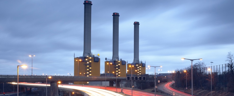 Berlin night plant_1200.jpg