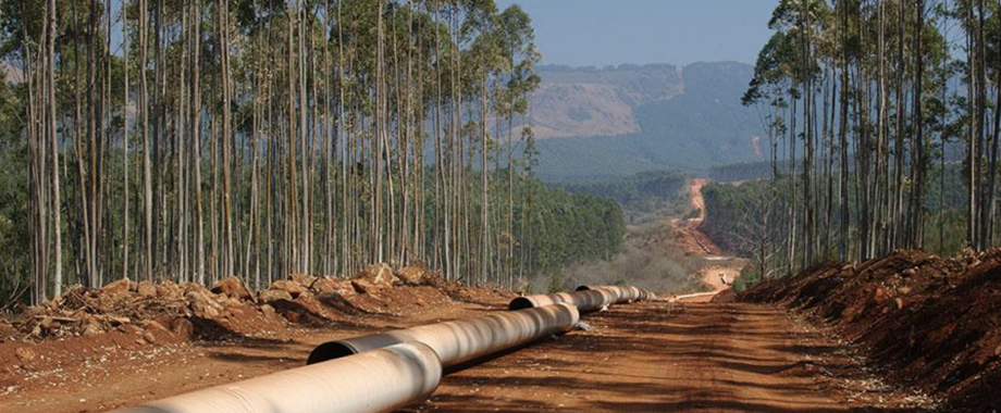 Mozambique pipe.png