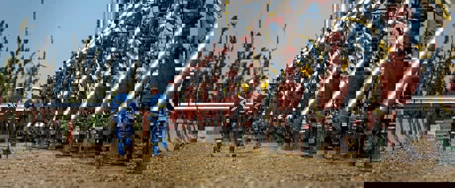 Cenovus-Husky 800.jpg