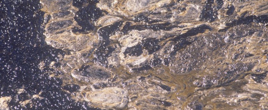 oil spill california.jpg