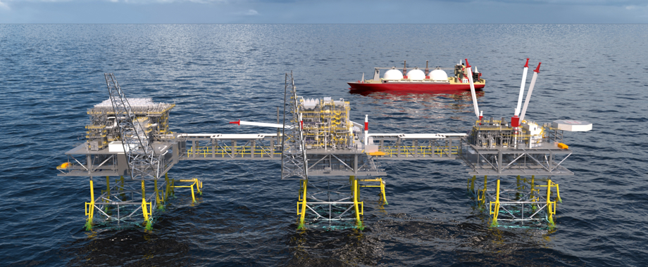 LNG Project Fluor Fortress.jpg