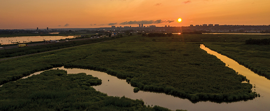 Nemec_Williams_NJ-Wetlands.jpg