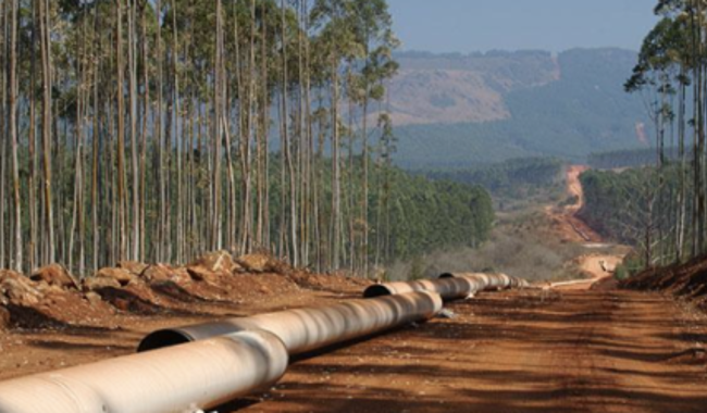 Mozambique Pipe 678X250